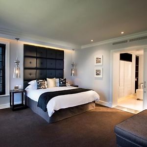 Superior King Suite
